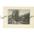 Lake At Bonchurch, IOW, Book Illustration (Prin...