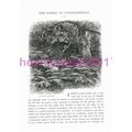 Bas-Breau, Fontainbleau, France, Book Illustrat...