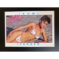 Portfolio '92 International Swimsuit Base tradi...