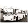 Black & White Photograph of Tillings Transport ...