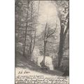 Bois de Sauvabelin, Lausanne, 1904 - Comptoir d...