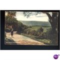 Sussex STORRINGTON Downs Postcard (No.1)