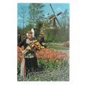 HOLLAND IN FLOWER DECORATION unused vintage pos...