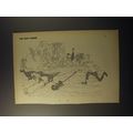 1953 Cartoon by George Price - Mowing Lawn