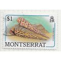 MONTSERRAT 1988 SEA SHELLS FLAME AUGER USED