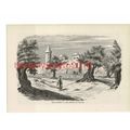 Summit of the Mount of Olives, Holy Land, Book ...