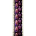 Pk DAU - B - MIX - e 0124T . - 1 STRIP OF 5 - 3...