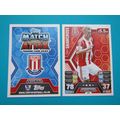 259. Ryan Shawcross - Stoke City - Match Attax ...