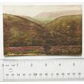 vintage postcard Exmoor, Cloutsham Ball