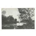 River Bure, Norfolk Broads, Postcard.