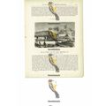 Farm In Brazil, Book Illustration (Print), c1880