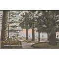 Le Jardin, Royal Hotel, San Remo, 1924 - Guggen...