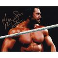 Mason Ryan WWE Wrestling Champion Large Hand Si...