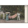 Rede, Madeira, 1907 - BP Bilhete Postal