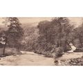 Lynmouth Watermeet & Cottage Devon Postcard (DE...