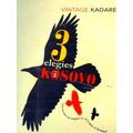 Three Elegies For Kosovo