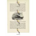 Anne Of Cleves Meets Henry VIII , Book Illustra...