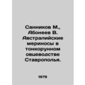 Sannikov M., Aboneev V. Australian merino in St...