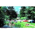 Colour Postcard - River & Church Spire Lower Sl...