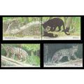 Endangered Big Cats Malaysia 2013 Tiger Leopard...