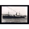 bf1643 - Currie Line Cargo Ship - Foreland Mont...
