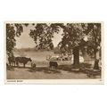 Salhouse Broad, Norfolk Broads, Postcard.