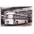 Bus Photo Midland General 282 Bristol MW ECW 1379R