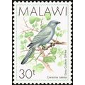 Malawi 1988 30t African Grey Cuckoo Shrike Unmo...