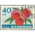 ROMANIA, FRUIT, Peach, Prunus amygdalus, blue 1...