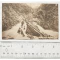 vintage postcard Betws y Coed, Conway Falls