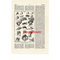 Bonnets For Men & Women, Historical Fashion, Bo...