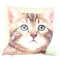 Tabby Kitten Cushion Decorative Photostyle 40 C...