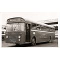 Black & White Photo of Wilts & Dorset Motor Ser...