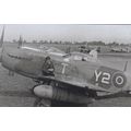 North American Mustang 403 Squadron Reproductio...