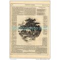 VILLAGE FUNERAL, ILLUSTRATED POETRY, MAGAZINE I...