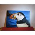 PUFFIN ....unused postcard by J. Arthur Dixon WL 7563 birds =
