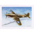 USAF Aviation Art Postcard Curtiss P-40 Flying ...