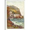 7233 Devon CLOVELLY Harbour Tuck Oilette Postcard