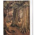 Emily Carr Wood Interior Postcard unused VGC