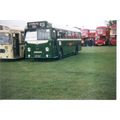 Colour Photograph of Maidstone & District Motor...