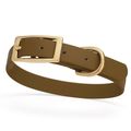 Dog Pet Collar with Brass Hardware Size S W 5/8...