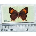1927 Wills British Butterflies No. 30 Brown Hai...
