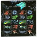 Bioluminescence Sheet of 20 Current Rate Stamps...