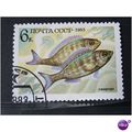 russia 1983 SG 5348 USED