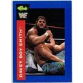 WWF ' CLASSIC ' card # 33 DAVEY BOY SMITH (1991)