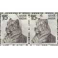 INDIA, CAT, Tiger, Panthera tigris, white 1975,...