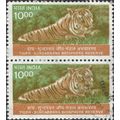 INDIA, CAT, Tiger, Panthera tigris, Sunderbans,...