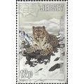 JERSEY, CAT, Snow leopard, Panthera uncia, grey...