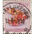 BELGIAN CONGO, FLOWER, Thonninsia, light violet...