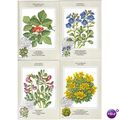 1985 ICELAND FLOWERS SET OLYMPHILEX `85" LAUSANNE